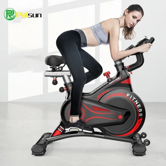 Gym Equipment Lightweight Exercise Bike Indoor Home Body Strong Fitness Magnetic Spinning Bike Professional Cycling Bike