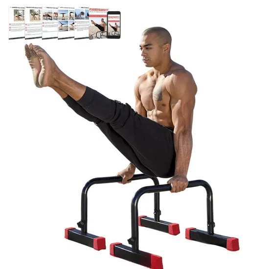 Wholesale Strength Bodyweight Training Home Gym Workout Equipment Push up Bars