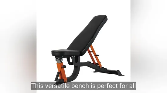 High Quality Multifunctional Commercial Adjustable Weight Lifting Workout Bench 